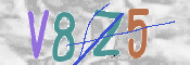 CAPTCHA 驗證圖片